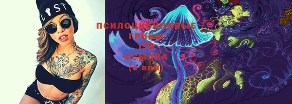 прущая мука Абаза