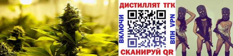 закладки  Монино  ТГК жижа 