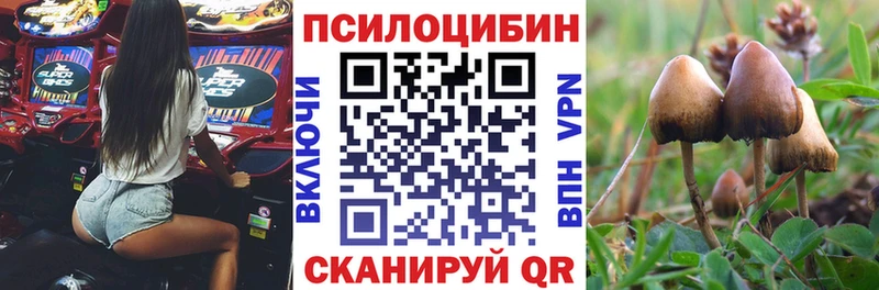 Галлюциногенные грибы Cubensis Монино